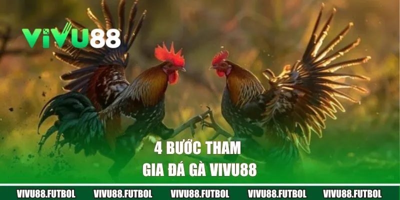 4 bước tham gia đá gà Vivu88 