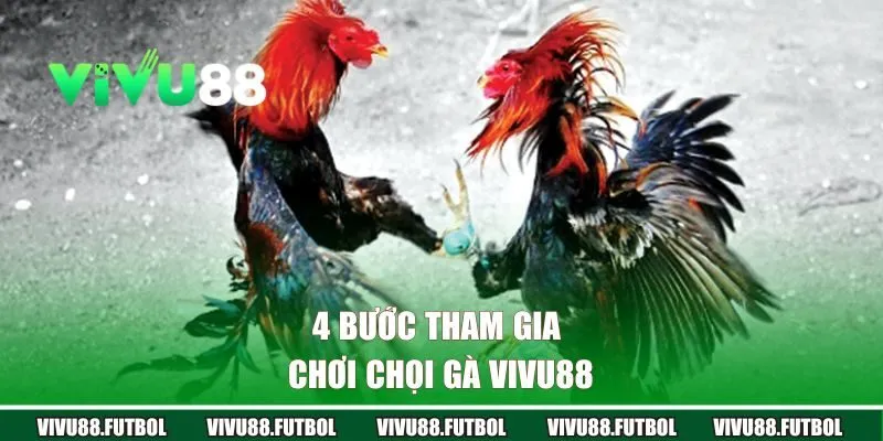 4 bước tham gia chơi chọi gà Vivu88