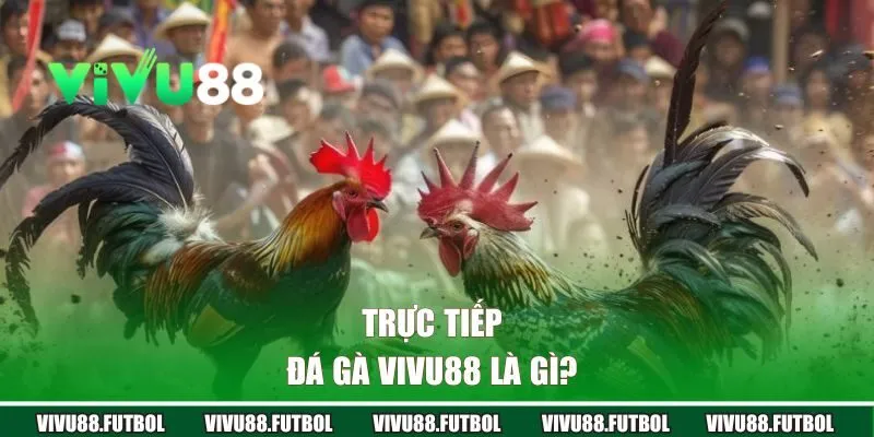 Trực tiếp đá gà Vivu88 là gì?  