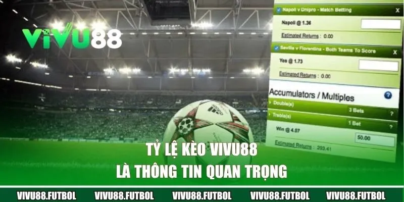 Tỷ lệ kèo Vivu88 là thông tin quan trọng